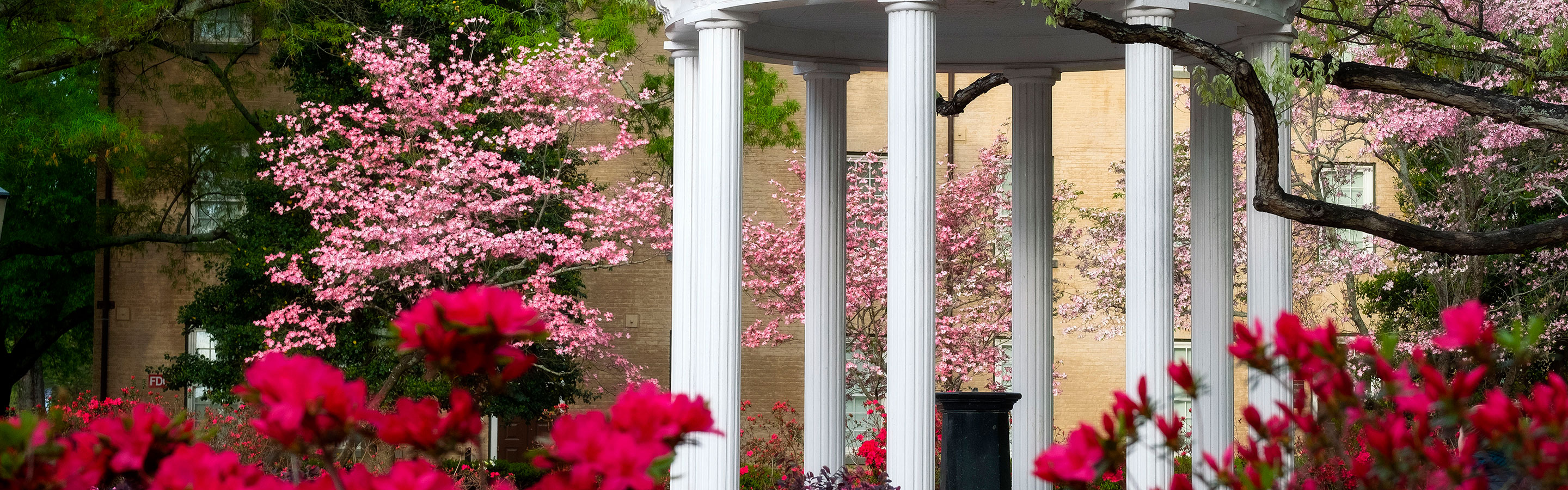 UNC Old Well in Spring