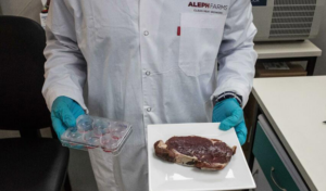 An Aleph Farms scientist shows off a fully grown beef steak from cultivated, lab-grown cells.