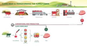 Graphic of conventional vs Aleph Farms meat production