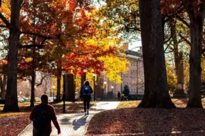 Fall image on UNC Campus