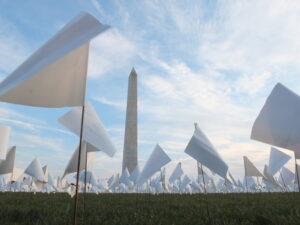 Flags with the Washington Monument prominent in the background