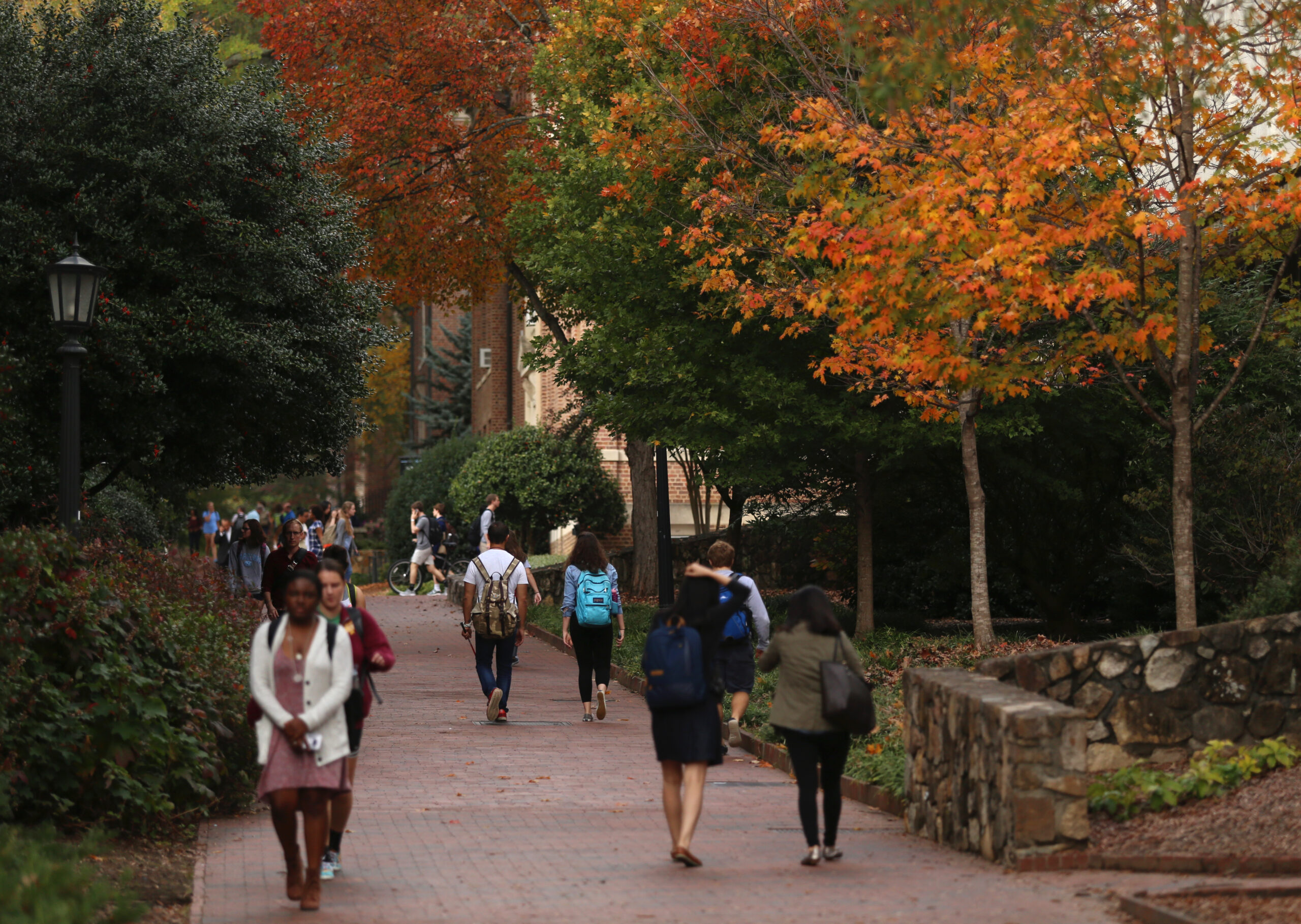 The campus of the University of North Carolina at Chapel Hill, Fall 2015.