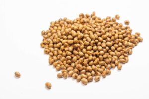 Soya beans on white background