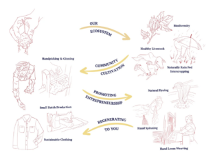 The Seed&U program illustrative graphic. 