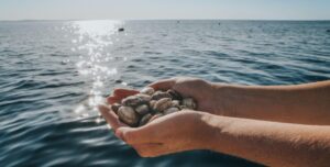 Clams held up over ocean.