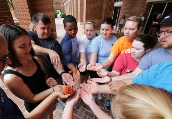 Group of people dressed casually outside of McColl, reaching towards a colorful rubber string ball a woman is holding