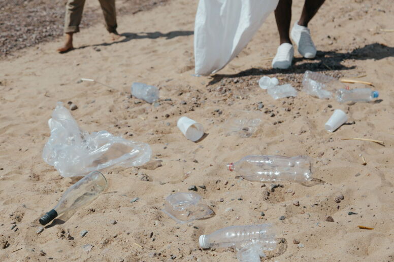 People picking up plastic bottles on beach