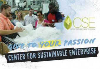 Center for Sustainable Enterprise