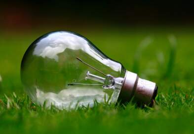 light bulb on green grass