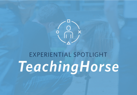 TeachingHorse Whitepaper Image