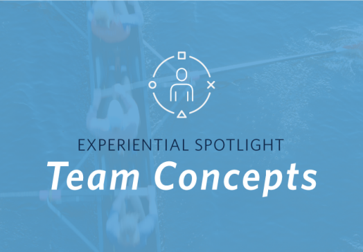 Team Concepts Whitepaper Image