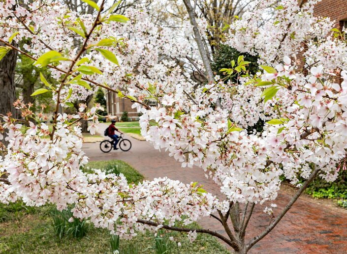 spring campus scene