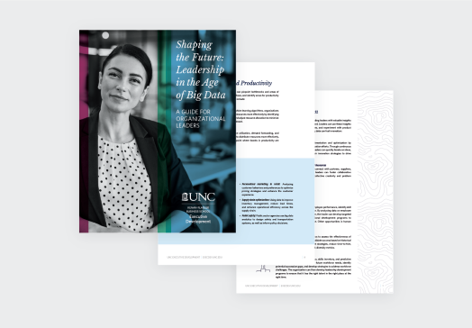 A graphic showing a smiling businesswoman and the first page of the white paper titled, “Shaping the Future: Leadership in the Age of Big Data”