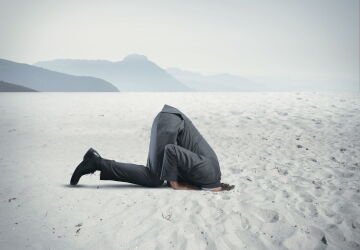 leniency head in sand marie mitchell