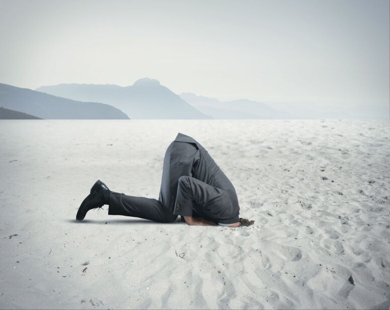 leniency head in sand marie mitchell