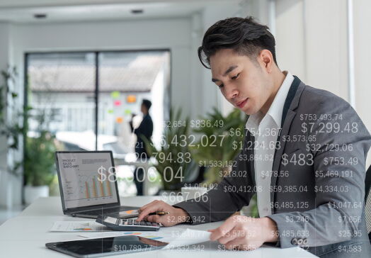 Accounting working at laptop