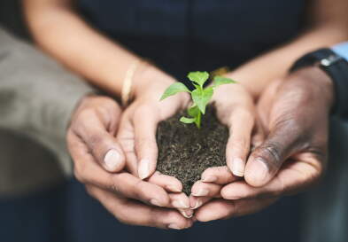 Business, group and hands with plants in soil for sustainability, eco friendly investment and earth day. Growth nurture, sprout support and people with charity project for environment responsibility