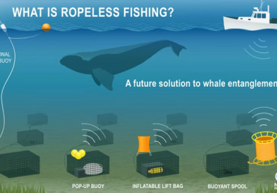What is ropeless fishing?