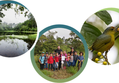 Three circles with images of nature, birds and young students.