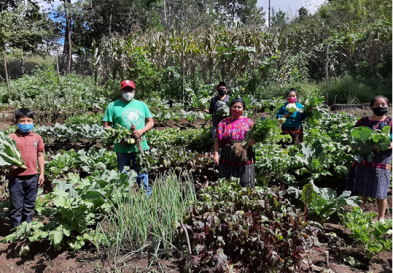 People out in field harvesting