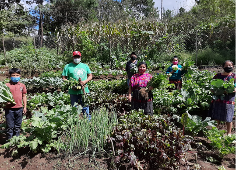 People out in field harvesting