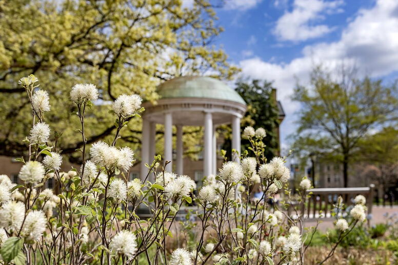 The Old Well blurred behind white flowers.