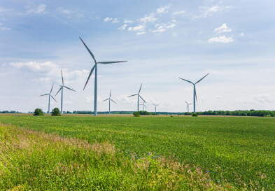 Wind Turbines in field
