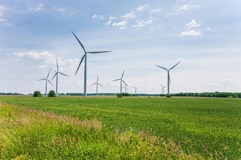 Wind Turbines in field