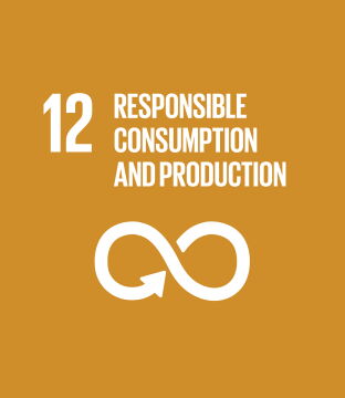 Responsibly consumptions and production