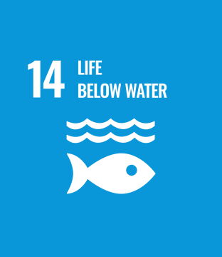 Life below water