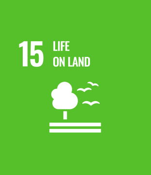 Life on land