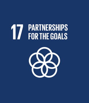 Partnerships for the goals
