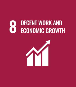 Decent work and economic growth