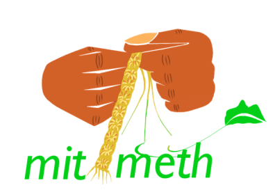 Two hands weaving Mitimeth logo