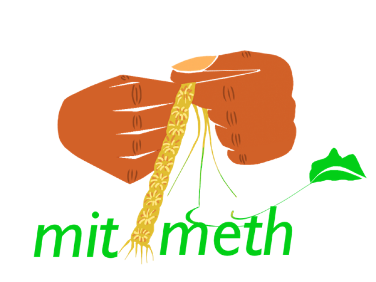 Two hands weaving Mitimeth logo